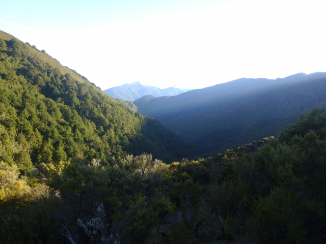 2012-04-22 08.30.04 2012-04-22 08.30.04